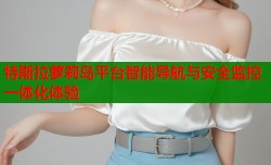 特斯拉萝莉岛平台智能导航与安全监控一体化体验