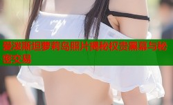 爱泼斯坦萝莉岛照片揭秘权贵黑幕与秘密交易