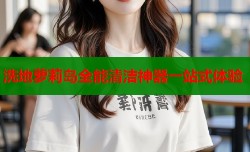 洗地萝莉岛全能清洁神器一站式体验