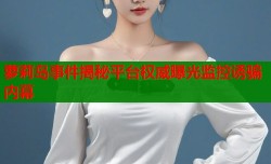 萝莉岛事件揭秘平台权威曝光监控诱骗内幕