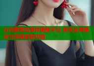 台湾萝莉岛事件揭秘平台 真实名单曝光与深度追踪功能