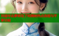 刘德华去萝莉岛了吗揭秘热点真相与平家功能