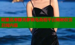 明星名单曝光萝莉岛真相平台揭秘权贵丑闻内幕