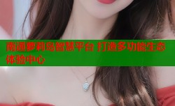 南通萝莉岛智慧平台 打造多功能生态体验中心