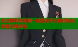 去过萝莉岛明细一键查询平台助你轻松掌握行程详情