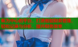 帐为中心的平台，打造智能财务管理，轻松记录与分析，提升财务效率