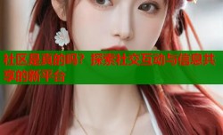 社区是真的吗？探索社交互动与信息共享的新平台