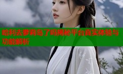 哈利去萝莉岛了吗揭秘平台真实体验与功能解析