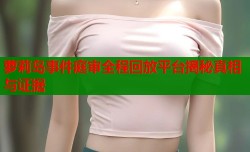 萝莉岛事件庭审全程回放平台揭秘真相与证据