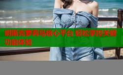 明斯克萝莉岛核心平台 轻松掌控关键功能体验
