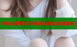冲绳岛萝莉岛下载畅玩养成冒险体验