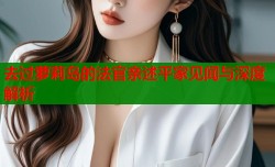 去过萝莉岛的法官亲述平家见闻与深度解析