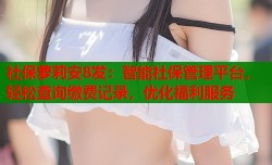 社保萝莉安8发：智能社保管理平台，轻松查询缴费记录，优化福利服务