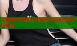 去萝莉岛次数统计神器轻松掌握你的冒险轨迹