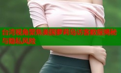 台湾视角聚焦美国萝莉岛访客数据揭秘与隐私风险