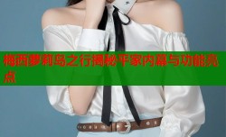 梅西萝莉岛之行揭秘平家内幕与功能亮点