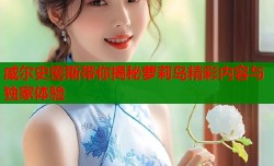 威尔史密斯带你揭秘萝莉岛精彩内容与独家体验