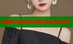去萝莉岛前后对比揭秘平家功能变化