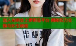 加入光明会上萝莉岛平台 揭秘权力交换与长生秘密