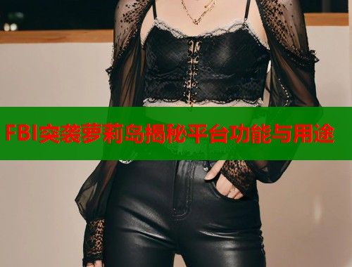 FBI突袭萝莉岛揭秘平台功能与用途  第1张
