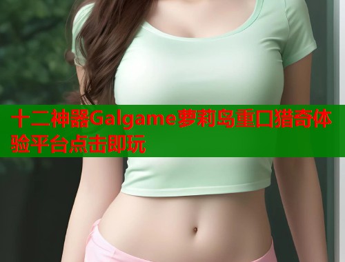 十二神器Galgame萝莉岛重口猎奇体验平台点击即玩  第1张