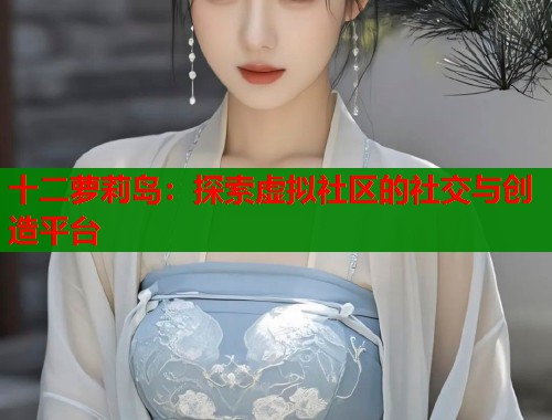 十二萝莉岛：探索虚拟社区的社交与创造平台  第1张