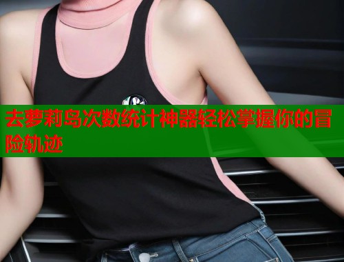 去萝莉岛次数统计神器轻松掌握你的冒险轨迹  第1张