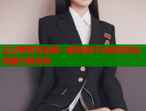 去过萝莉岛明细一键查询平台助你轻松掌握行程详情  第1张