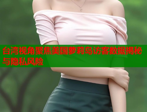 台湾视角聚焦美国萝莉岛访客数据揭秘与隐私风险  第1张