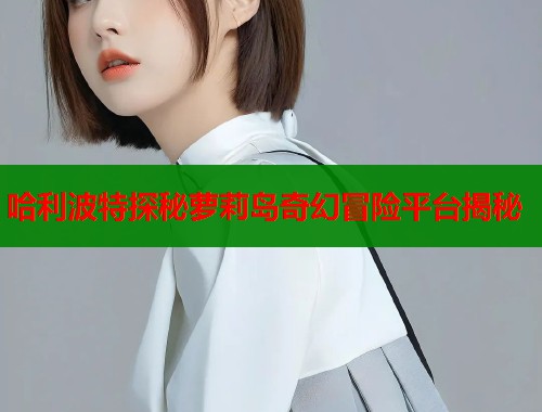 哈利波特探秘萝莉岛奇幻冒险平台揭秘  第1张