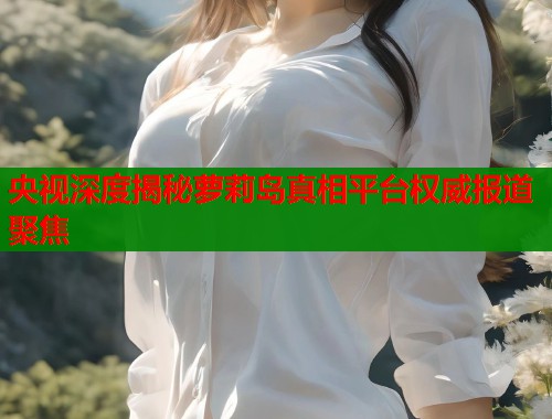 央视深度揭秘萝莉岛真相平台权威报道聚焦  第1张