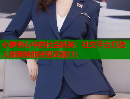 小萝莉心中的社会精英：社交平台打造人脉网络的秘密武器(1)  第1张