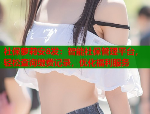 社保萝莉安8发：智能社保管理平台，轻松查询缴费记录，优化福利服务  第1张