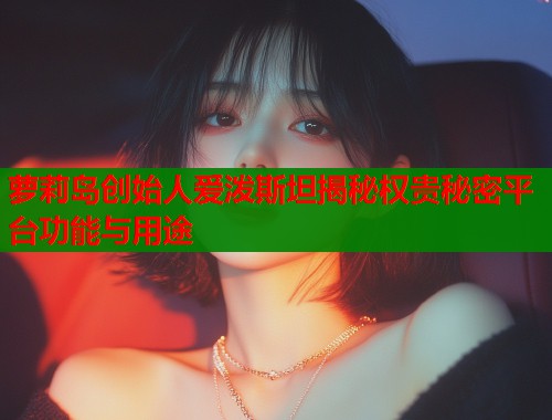 萝莉岛创始人爱泼斯坦揭秘权贵秘密平台功能与用途  第1张